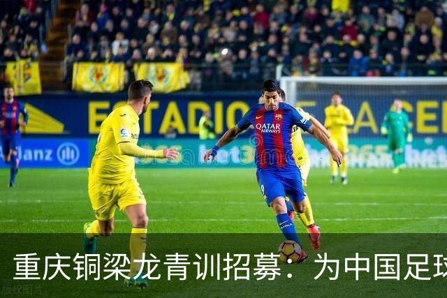 重庆铜梁龙青训招募：为中国足球培养未来之星的战略布局
